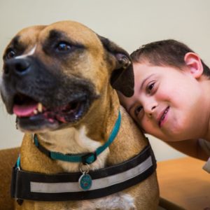 Rendszeres adomány más összegre