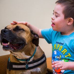 Adomány más összegre